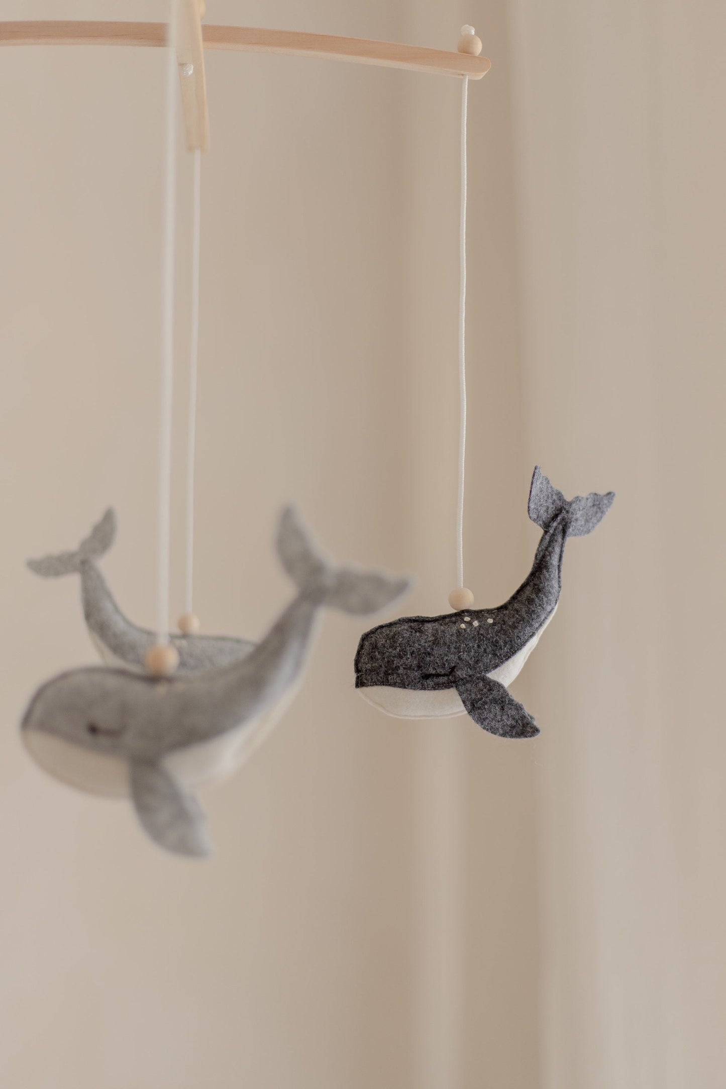 Whale Mobile
