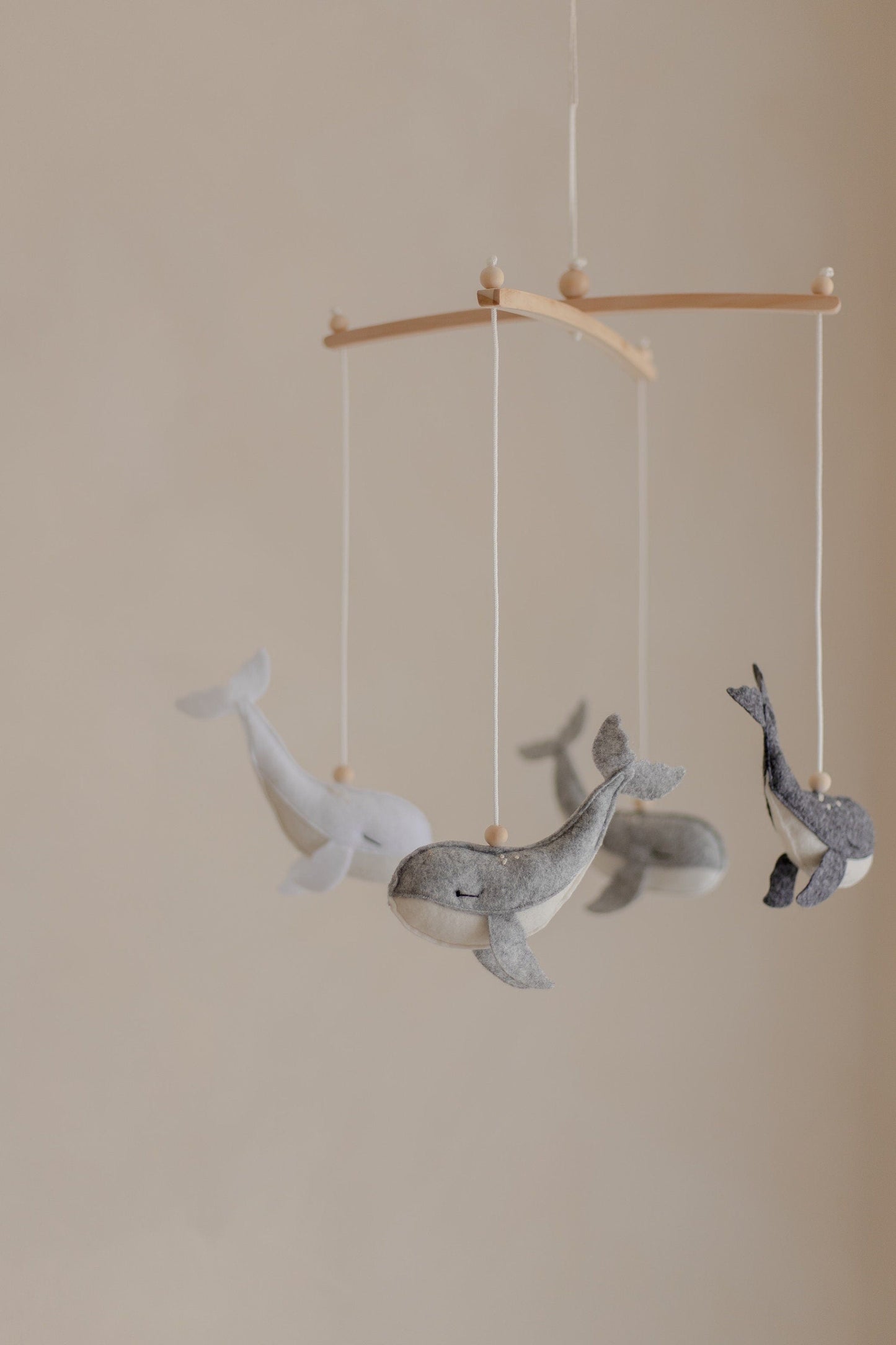 Whale Mobile