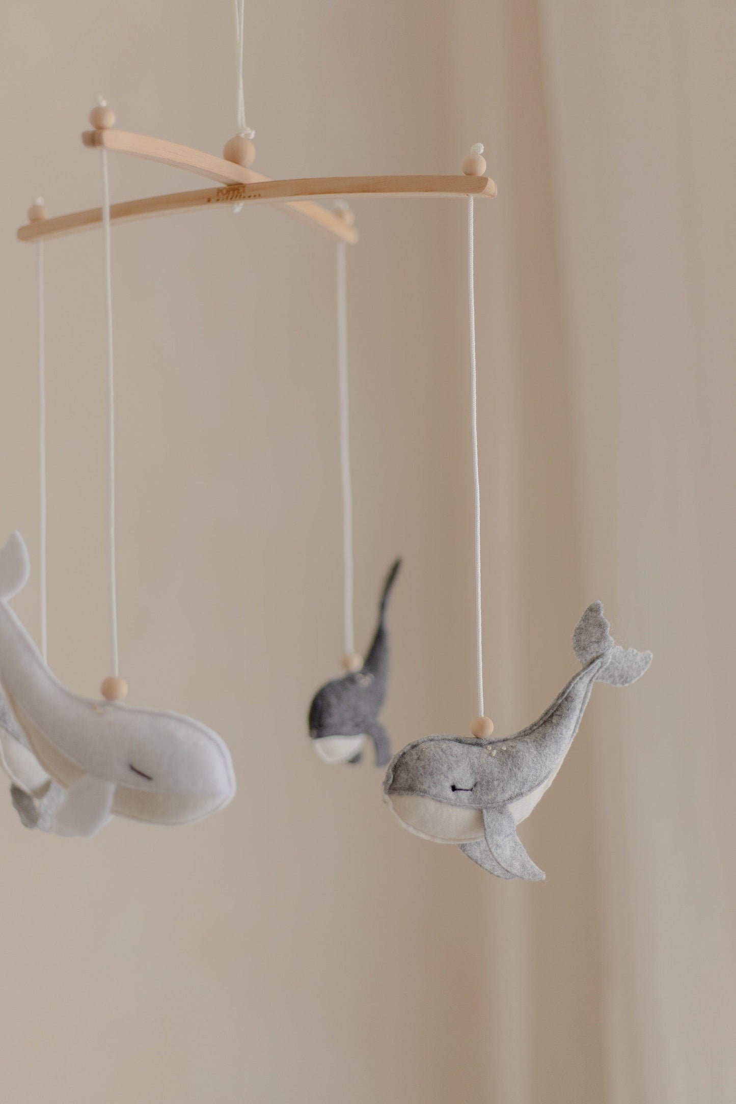 Whale Mobile